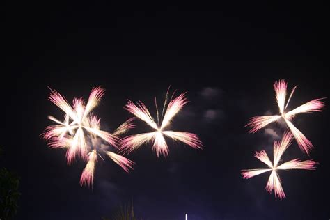 煙火花風水|2021過新年放煙火.這煙火花開的很旺! Fireworks Flower